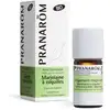 Image de Pranarôm - Huile Essentielle de Marjolaine à coquilles - 5 ml - Bio