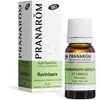 Image de Pranarôm - Huile Essentielle de Ravintsara - 10 ml - Bio