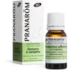 Image de Pranarôm - Huile Essentielle de Romarin à camphre - 10 ml - Bio