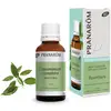 Image de Pranarôm - Huile Essentielle de Ravintsara - grand format - 30 ml - Bio