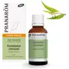 Image de Pranarôm - Huile Essentielle d'Eucalyptus citronné - grand format - 30 ml - Bio