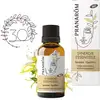 Image de Pranarôm - Synergie Essentielle - 30 ml - Bio