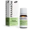 Image de Pranarôm - Huile Essentielle de Romarin à verbénone - 5 ml - Bio