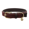 Image de Kentucky Dogwear Collier pour chien en nylon plaqué - Bo... M