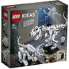 Image de Ideas 21320 - Les fossiles de dinosaures