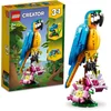Image de Lego®creator 31136 - Le Perroquet Exotique