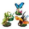 Image de Lego 21342 La Collection d'Insectes