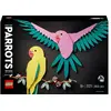 Image de LEGO Art 31211 La collection Faune - Les perroquets Ara