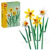 Image de LEGO Botanicals Jonquilles - Jeu de Construction avec Fleurs artificielles - Bouquet à Exposer comme décoration pour la Chambre ou sur Le Bureau - Idée Cadeau pour Filles et garçons dès 8 Ans 40747 en occasion ou reconditionné
