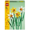 Image de LEGO Iconic 40747 Les jonquilles
