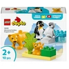 Image de LEGO DUPLO Town 10442 Familles d'animaux sauvages : pingouins et lions