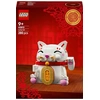 Image de 40813 Le chat porte-bonheur