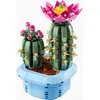 Image de cactus fleuri