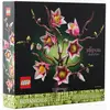 Image de LEGO® Botanicals