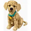 Image de LE CHIOT GOLDEN RETRIEVER