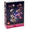 Image de Les fleurs de cerisiers