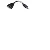 Image de Lenovo displayport dvi-d cable, 43n9160 fru43n9160