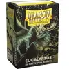Image de Jeux de carte Arcane Tinmen Dragon Shield 100 Matte Dual Sleeves Vert 10x8x2 cm AT-15049