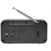 Image de DENVER DAB-42 - Radio portative DAB - 1 Watt - noir