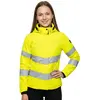 Image de Mascot Veste D'hiver Safe Supreme 18545