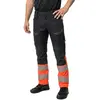 Image de Mascot Pantalon De Travail Accelerate Safe 19679
