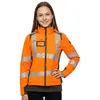 Image de Mascot Veste D'hiver Accelerate Safe 19045