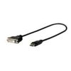 Image de Pro - Câble d'écran - DisplayPort (M) pour DVI-D (M) - verrouillé, vis moletées, support 4K