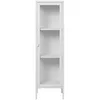 Image de Vitrine 1 porte vitrée acier blanc 40 x 35 x 140 cm
