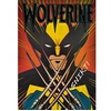 Image de Puzzle 1000 pièces Premium Plus : Wolverine / Marvel X-Men '97