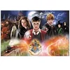 Image de Puzzle 300 pièces : Harry Potter : Le Secret Harry Potter