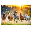 Image de Puzzle 1500 pièces : Chevaux sauvages