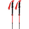 Image de Viking Bâtons Spider Fs