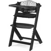 Image de Lot de a lunite chaise en bois interieur H. 49 cm noir