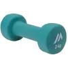 Image de Martes Haltère Dynamos 2 Kg One Size