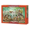 Image de puzzle Puzzle Beautiful Ride 500 pièces