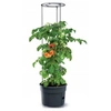 Image de Pot pour pied de tomates 12L Tomato Grower IPOM300-S433