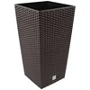 Image de Prosperplast Pot De Fleur Rato 49l 32.5x32.5x61 Cm One Size