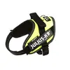 Image de Julius K9 Harnais IDC pour chien mini mini vert néon 16IDC-NE-MM
