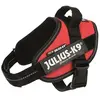 Image de JULIUS K9 Harnais Power IDC Mini-M : 49-67 cm - 22 mm - Rouge - Pour chien