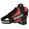 Image de JULIUS K9 Harnais Power IDC 0-M-L : 58-76 cm - 40 mm - Rouge - Pour chien