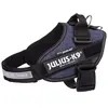 Image de Julius K9 IDC Harnais pour chiens Denim Taille 0 14845