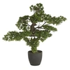 Image de Bonsai artificiel geant avec pot en PLASTIQUE/CIMENT - Dim : H 80 x L 80 x P 60 cm