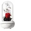 Image de EFUTURE LED Lampe Fleur Rose éternelle USB Charge Lampe à parfum Veilleuse ambiante Rouge