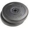 Image de Gymstick Disque De Poids 10kg Vinyl 2 Unités 10 kg