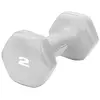 Image de Gymstick Haltère Pro Vinyl 2kg 2 kg