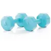 Image de Gymstick Haltère Active Vinyl S 2 X 5kg 5 kg