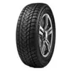 Image de Pneu d'hiver Voiture WD1 205/55 R16 91H