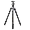 Image de trepied rhino kit avec rotule 24c + vx25
