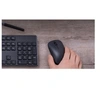 Image de Lite - Souris - ergonomique - optique - 3 boutons - sans fil - 2.4 GHz - récepteur sans fil USB - noir