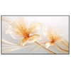 Image de ALR 100'''' pour focale ultra courte